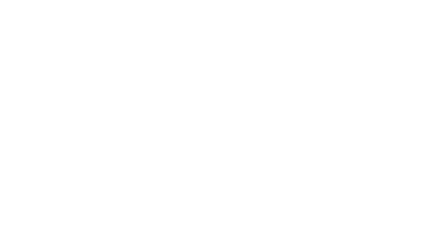Solver-logo-all-white